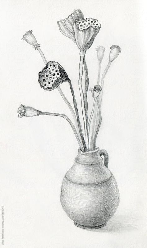 "Hand Drawn Vase With Dried Flowers" by Stocksy Contributor "Liliya Rodnikova" - Stocksy Dried Flower Drawing, Vase With Dried Flowers, Dried Flower, Flower Drawing, Dried Flowers, Hand Drawn, Royalty Free Stock Photos, How To Draw Hands, Royalty Free