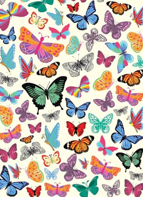 Butterfly Pattern Kristina Webb, Picture Collage Wall, Photo Wall Collage, Art Collage Wall, Iphone Background Wallpaper, Picture Collage, Butterfly Wallpaper, Collage Wall, Cute Backgrounds