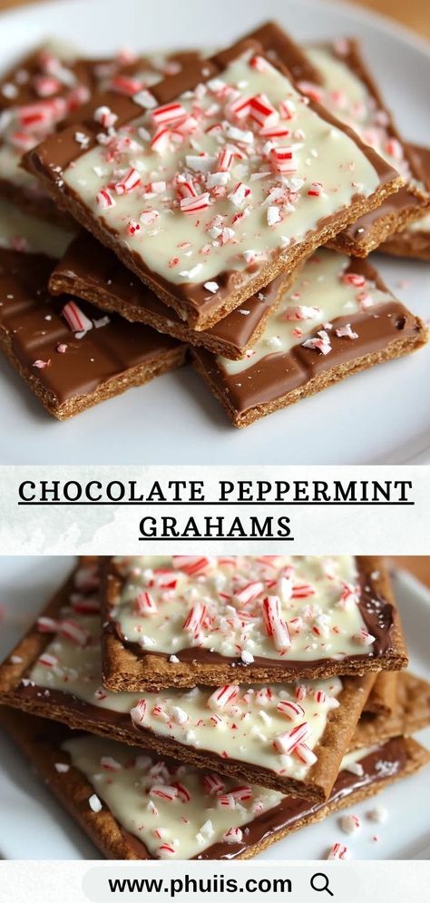 Indulge in the festive flavors of the holiday season with these delightful Chocolate Peppermint Grahams. This easy-to-make recipe features graham crackers dipped in layers of rich milk and white chocolate, topped with a refreshing crunch of peppermint candy canes. Perfect for snacking, gifting, or holiday parties, these treats will leave everyone craving more! Graham Cracker Dip, Graham Cracker Snacks, Peppermint Crunch, Peppermint Bark Recipes, Cracker Dip, Easy No Bake Cookies, Graham Cracker Recipes, Cracker Toffee, Chocolate Graham Crackers