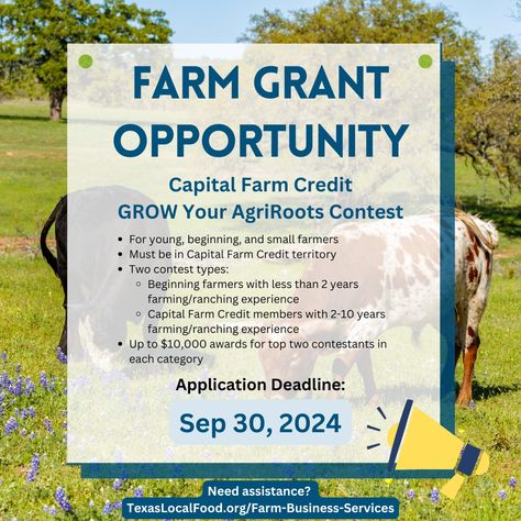 📣 New farm grant opportunity announcement for September! Capital Farm Credit is hosting a grant contest for beginning farmers and ranchers operating within their territory. There are two contest types and up to two $10,000 grants awarded in each category. Applicants will be evaluated based on multiple criteria including business and financial character, leadership and community involvement, applicable training, and sustainability. Applicants must complete training through the Emerging Leader... Farm Business, Community Involvement, New Farm, Business Services, Raising Chickens, Farm Girl, Growing Vegetables, Making Money, Farmer