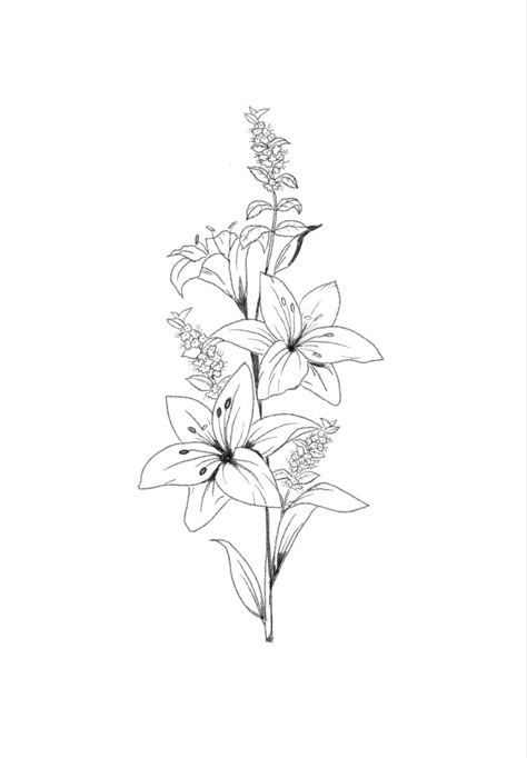 Floral arrangement of lillies and mint flowers drawing Lilly Tattoo Design, Stargazer Lily Tattoo, Lilly Flower Tattoo, Word Tattoo Ideas, Floral Back Tattoos, Lillies Tattoo, Lily Tattoo Design, Lily Flower Tattoos, Heaven Tattoos