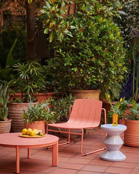 COLOUR STORY 🌈 Mix & match our colourful faves, edited in vivid colour by our styling team. ✨ Spicy ✨ Vibrant ✨ Oceana ✨ Harmony ✨… | Instagram Backyard Roof Ideas, Breakfast In The Garden, Modern Outdoor Dining Table, Fancy Furniture, Coffee Breakfast, Outdoor Dining Furniture, Outdoor Landscaping, Garden Chairs, Furniture Outdoor