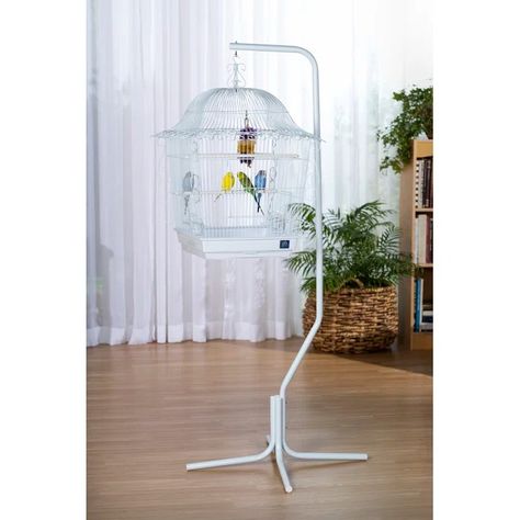 Archie & Oscar™ Jaden 62" Steel Victorian Top Hanging Bird Cage Stand with Tray & Reviews | Wayfair Victorian Top, Bird Cage Stand, Hanging Bird Cage, Traditional Lanterns, Tub Doors, Drawer Design, Wood Bird, Top Floor, How To Remove Rust