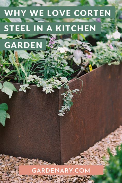 Corten steel is a durable material for raised bed kitchen gardens that will develop a weathered look over time. Here's why we love it for garden design. Steel Raised Beds, Rooted Garden, Australian Garden Design, Backyard Upgrades, Kitchen Gardens, Raised Garden Planters, Cedar Garden, Raised Planter Beds, Corten Steel Planters