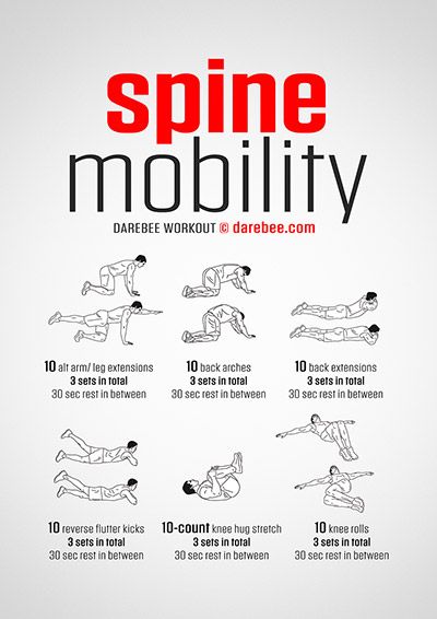 Darebee Workout, Wrestling Workout, Spine Mobility, Mobility Workout, Spinal Column, Full Body Workout Routine, Workout Chart, Body Workout Plan, Free Workouts