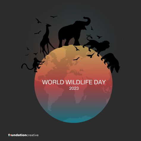 It’s World Wildlife Day! Earth is filled with so many cool and interesting creatures and we want them to be here as long as possible! Reduce your carbon footprint! Check out this quick easy read! https://www.nytimes.com/guides/year-of-living-better/how-to-reduce-your-carbon-footprint #WorldWildlifeDay #AnimalLovers #Wildlife #Animals #STLCreatives #FoundationCreative The Great Migration Africa, World Wildlife Day, Uganda Wildlife, Day Earth, Out Of Africa Wildlife Park Arizona, Interesting Creatures, Wildlife Day, Reduce Your Carbon Footprint, Wild Africa Trek Animal Kingdom