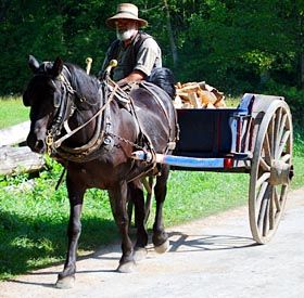 horse carriage Wandering Trader, Medieval Horse, Horse Lead, Horse Cart, Man On Horse, Black Horses, Horse Carriage, Country Scenes, Horse Drawn