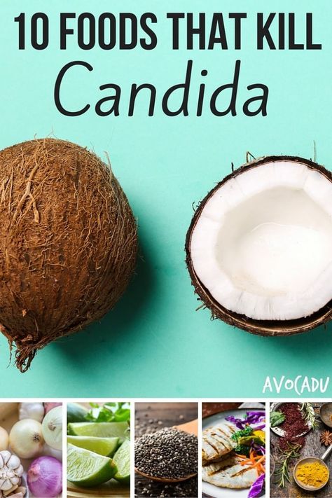 Struggling with a stubborn yeast infection? The Avocadu team shares a list of the top 10 foods that kill candida to give your system a yeast cleanse. Candida Diet Food List, Candida Cleanse Diet, Yeast Cleanse, Anti Candida Diet, Candida Recipes, Candida Diet Recipes, Candida Cleanse, Candida Overgrowth, Candida Yeast