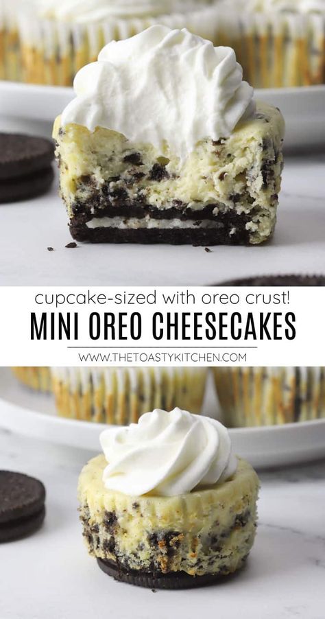 Mini Oreo Cheesecake Cupcakes No Bake, Oreo Crust Mini Cheesecake, Easy Oreo Cheesecake Cupcakes, Oreo Flavored Desserts, Oreo Crust Mini Cheesecake Bites, Oreo Cookie Cheesecake Cups, Cookies And Cream Mini Cheesecakes, Individual Oreo Cheesecake Cups, Cheesecake With Oreo Cookie Crust