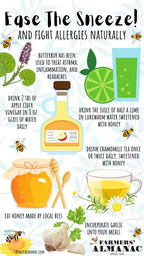 Got seasonal allergies? Ease the sneeze with these tried-and-true home remedies for natural allergy relief! You'll find many of these in your pantry... Natural Allergy Relief Remedies, Stop Sneezing, Natural Allergy Relief, Apple Cider Drink, Best Cough Remedy, Home Remedies For Allergies, Dry Cough Remedies, Allergy Remedies, Indian Family