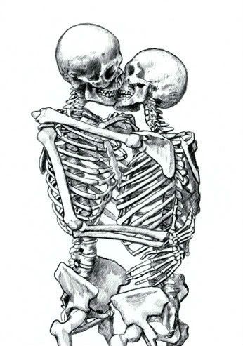 Shadows Tattoo, Kissing Drawing, Skeleton Drawings, Skeleton Tattoos, Best Drawings, Skeleton Art, 背景 シンプル, Anatomy Art, Skull And Bones