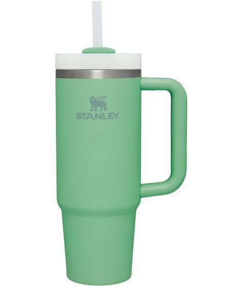 Green Stanley Cup, Hydration Challenge, Custom Stanley, Stanley Cups, Vacuum Bottle, Stanley Quencher, Travel Tumbler, Cute Cups, Reusable Straw