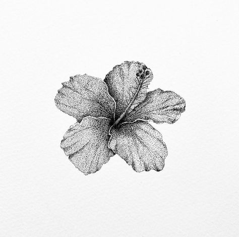 stippling hibiscus flower botanical illustration. Deathcore Tattoo, Hibiscus Illustration, Auto Tattoo, Pointillism Tattoo, Hibiscus Flower Tattoos, American Traditional Tattoo Ideas, Traditional Tattoo Ideas, Flash Ideas, Traditional Tattoo Designs