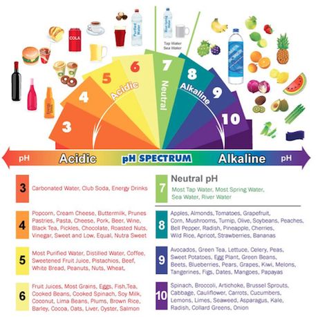 What is pH Balance? (How Alkaline are You?) Acidic Food Chart, Acid And Alkaline, Foods And Drinks, Resep Diet, Acidic Foods, Food Charts, Alkaline Diet, Alkaline Foods, Acid Reflux