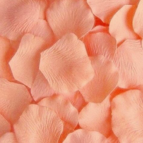 Pin/donisiavashan 🍑🤍 Colour Wallpaper, Color Durazno, Color Whisper, Monochromatic Art, Peach Wallpaper, Peach Colour, Peach Aesthetic, Light Blue Aesthetic, Color Vibe