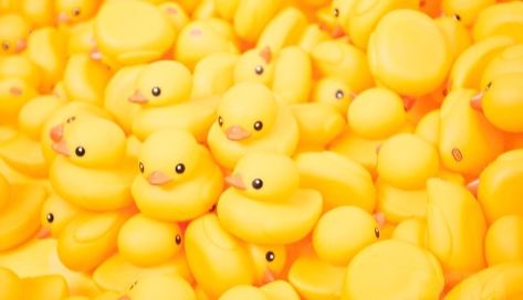 Ducky Wallpapers, Yellow Duck Wallpaper, Crow Trinkets, Rubber Duck Wallpaper, Computer Wallpaper 1920x1080 Hd, Wallpaper Computer Aesthetic, Duck Background, Duck Wallpapers, Aesthetic Duck