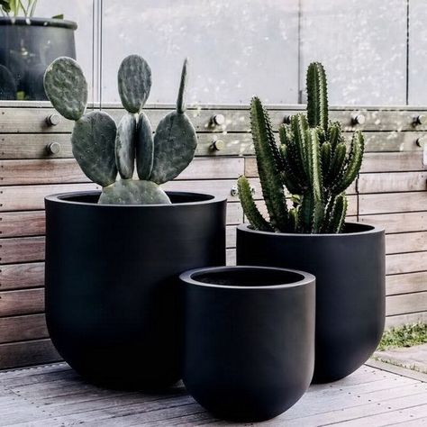 Stone Powder, Black Planters, Small Courtyards, Tanah Liat, Outdoor Pots, Modern Planters, Hotel Decor, Balcony Garden, Orren Ellis