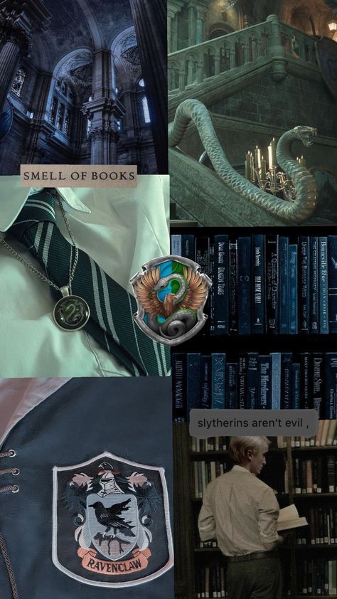 raverin/slytherclaw #ravenclaw #slytherin #harrypotter Draco X Ravenclaw, Slytherin Ravenclaw Aesthetic, Slytherclaw Wallpaper, Ravenclaw And Slytherin Relationship, Ravenclaw X Slytherin, Slytherin X Ravenclaw, Ravenclaw Boys, Slytherclaw Aesthetic, Slytherin And Ravenclaw