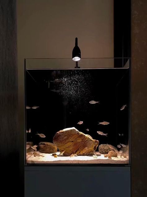 Modern Fish Tank, Fish Tank Themes, Amazing Aquariums, Fish Tank Stand, Fish Tank Terrarium, Cool Fish Tanks, Aquascape Design, Diy Fish Tank, Fish Tank Design