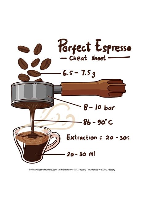 Italian Coffee Bar Design, Espresso Guide, At Home Barista, Coffee Making Process, Espresso Station, Italian Coffee Shop, Espresso Art, Espresso Making, Coffee Chart