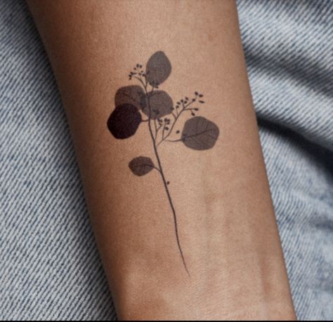 Eucalyptus Tattoo, Botanisches Tattoo, Tattoo Son, Tattoo Signs, Inspiration Tattoo, Plant Tattoo, Botanical Tattoo, Classy Tattoos, Dainty Tattoos