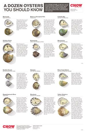 Types Of Oysters, Kitchen Knowledge, Fish Chart, Raw Oysters, Oyster Recipes, Homemade Sushi, Raw Bars, Life Kitchen, Japanese Dessert