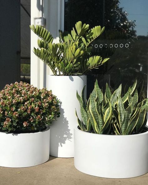 Click Here to know more about GANSK unique Solutions for Outdoor, with the same message: To Always Be Simple and Elegant 🤍 Modern Flower Pots Outdoor, Patio Planter Ideas Plant Pots, Zamia Furfuracea, Front Door Plants, Hanging Plants Outdoor, Potted Plants Outdoor, Rooftop Terrace Design, Balcony Plants, Patio Planters