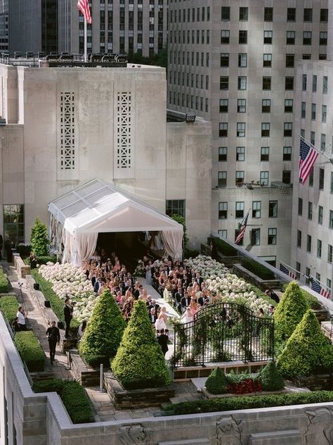 Bridget Bahl and Dr. Michael Chiodo's iconic New York City wedding — Laurie Arons Special Events Bridget Bahl, Cityscape Wedding, Art Nouveau Weddings, Nyc Wedding Venues, Iconic New York, Manhattan Wedding, New York City Wedding, Wedding Types, Hydrangea Not Blooming