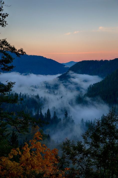 Foggy Mountains, Forest Mountain, Mountain Wallpaper, Foggy Morning, Mountain Sunset, Earth Lover, Landscape Pictures, Room Posters, Landscape Photographers