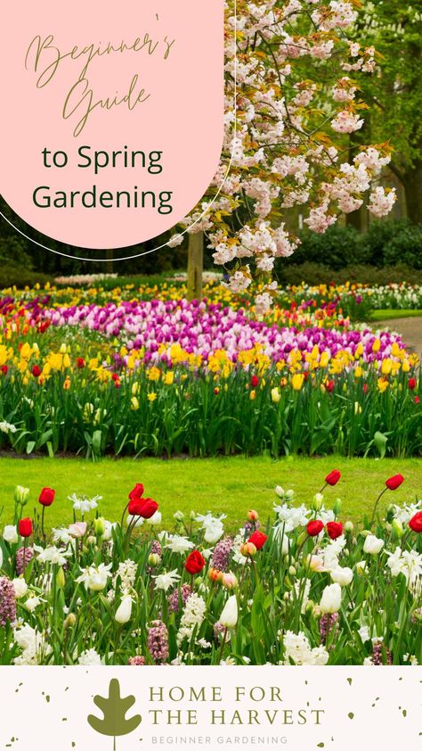 Spring Bulb Garden, Heirloom Tomato Plants, Planting Schedule, Cold Climate Gardening, Bulb Garden, Free Garden Planner, Common Garden Plants, Growing Food Indoors, Productive Garden