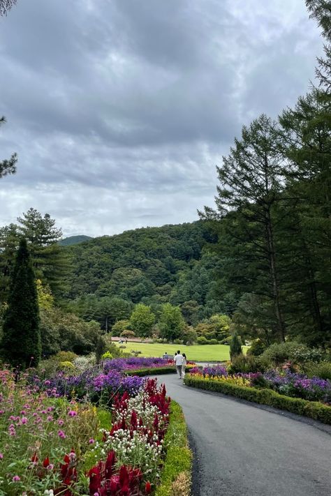 Garden Of Morning Calm Korea, Korea Photo, Nami Island, Wanderlust Travel, Photo Ideas, Country Roads, Japan, Collage, Travel