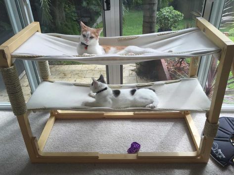 cat7 Bed Hammocks, Outdoor Cat House Diy, Cat Bunk Beds, Diy Cat Hammock, Diy Cat Food, Diy Cat Tree, Cat House Diy, Cat Tent, Outdoor Cat House