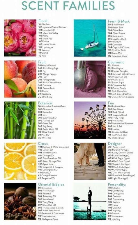 Scent Families! Schedule your Blending Bar to take out scent profile quiz to see which areas you love most to create your scent bathologie.com/sweet essence Candle Science Fragrance Blends, Types Of Scents, Candle Scents Recipes Fragrance, Perfume Making Aesthetic, Perfume Scents Chart, Scent Pairings, Layering Fragrance, Scent Families, Fragrance Oil Recipes