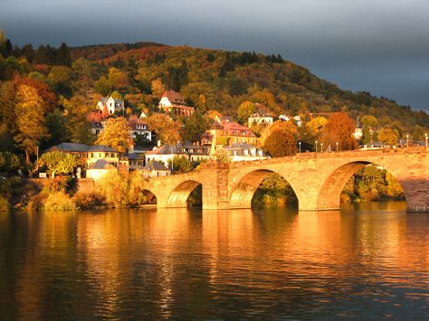 Heidelberg Germany, Famous Castles, Provence France, Famous Places, Pretty Places, Oh The Places Youll Go, Dream Destinations, Places Around The World, Cruises