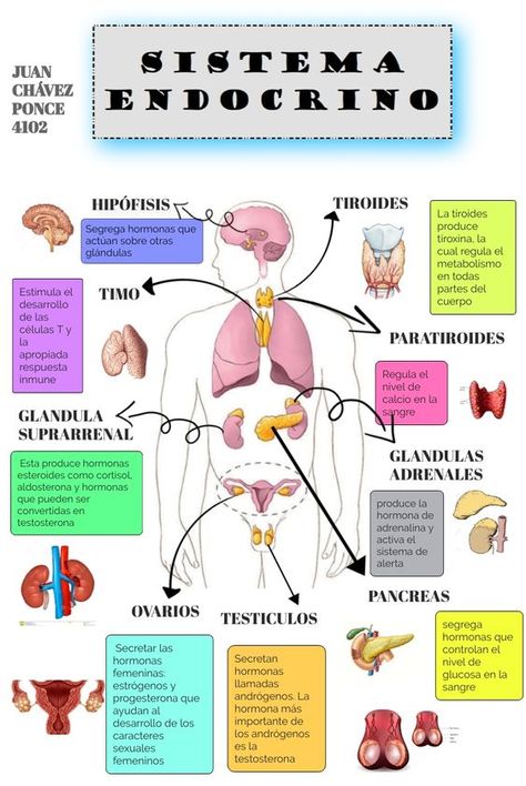 Studying Medicine, Medicine Notes, Medicine Studies, Vet Medicine, Nurse Study Notes, Medical Laboratory Science, Medical Student Study, Medicine Student, Medical School Inspiration