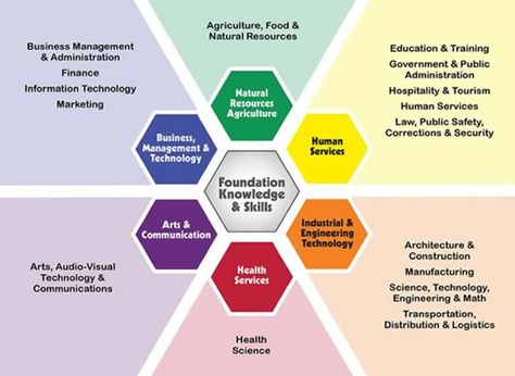 Basic image of the 16 career clusters that follow the 6 career pathways. Perfect to use in small group and/or classroom guidance lessons! Career Clusters, Career Lessons, Career Quiz, Types Of Education, Middle School Counseling, Career Pathways, Career Readiness, Career Fields, Guidance Lessons