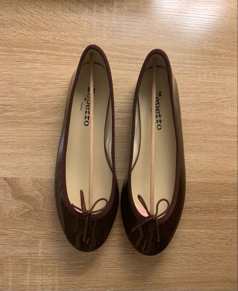 Repetto Flats, Cute Flat Shoes, Repetto Ballet Flats, Cute Flats, Brown Flats, June 22, Fall 2023, Ballerina Flats, Pretty Shoes