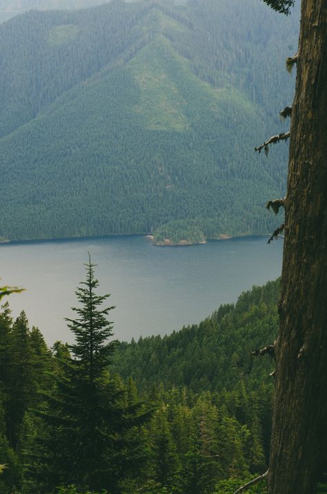 Seattle Forest, Lakes Aesthetic, Seattle Lake, Sammamish Washington, Mystery Garden, 2016 Instagram, Dreamy Destinations, Pacific Northwest Travel, Iphone Instagram