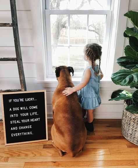 New Puppy Announcement, Puppy Announcement, Felt Letter Board, Joy Of Life, Maybe One Day, Animal Hospital, Tiny Humans, Dog Quotes, First Baby