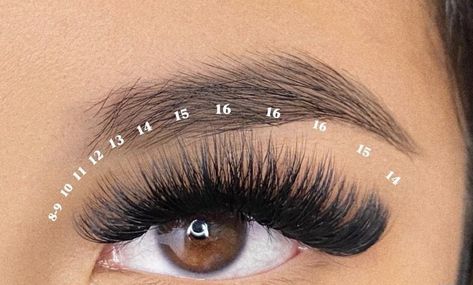 Russian Lash Map, Wispy Full Volume Lash Extensions, Cluster Lashes Eyelash Extensions, Full Eyelashes Extensions, Mega Volume Lash Extensions, Russian Volume Eyelash Extensions, Russian Eyelash Extensions, Lash Maps, Volume Russe