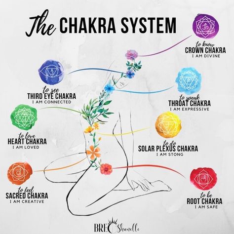 Seven Chakras Art, Sacral Chakra Tattoo, Chakra Notes, Chakra Illustration, Illustration Spiritual, Chakras Explained, Energy Chakras, Sacral Chakra Healing, Chakra Healing Meditation