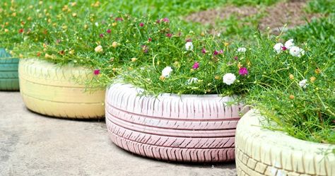 4 everyday items you can repurpose for your garden Tire Garden, Tire Planters, Garden Ideas Cheap, Old Tires, Homestead Survival, Unique Gardens, Garden Bed, Garden Lovers, Colorful Garden