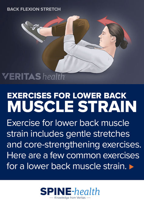 Illustration of a woman performing a flexion stretch. Exercise For Lower Back, Exercises For Lower Back, Lower Back Pain Stretches, Back Muscle, Lower Body Muscles, Body Muscles, Core Strengthening Exercises, Back Stretches For Pain, Lower Back Muscles