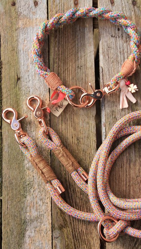 Dog Leash Diy, Dog Leash And Collar, Leash And Collar, Diy Dog Collar, Rope Dog Leash, Rainbow Dog, Rope Leash, Handmade Dog Collars, Rope Dog