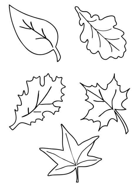 Autumn Leaves Template Free Printable, Free Clip Art Printables Templates, Fall Stencils Free Printable, Fall Leaf Template Free Printable, Leaf Template Printable Free, Leaf Patterns Printable, Fall Leaves Template Free Printable, Leave Printable, Fall Leaves Images