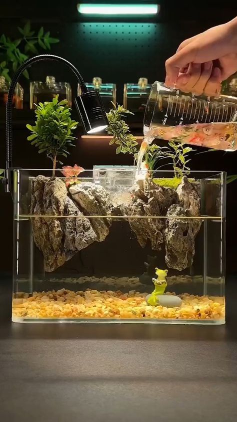 Fish Aquarium Decorations, Fish Tank Themes, Fish Pond Gardens, Amazing Aquariums, Fish Tank Terrarium, Cool Fish Tanks, Diy Fish Tank, Aquascape Design, Fish Tank Design