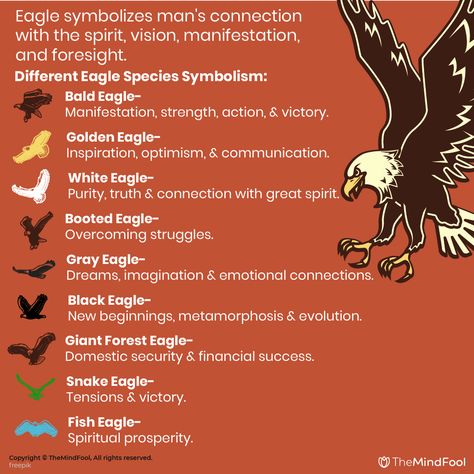 Eagle Meaning, Symbol Tattoos With Meaning, Feather Symbolism, Feather Meaning, Spirit Animal Meaning, Eagle Symbol, Animal Meanings, Tattoos Back, Eagle Feather