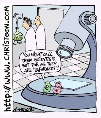 Teaching Cartoons | MYP @ Global Jaya International School Germs are fames so scients are paparazzi Microbiology Humor, Biology Jokes, Biology Memes, Lab Humor, Science Cartoons, Biology Humor, Children Songs, Nerdy Jokes, Nerdy Humor