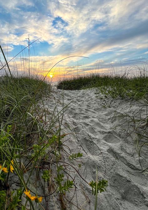 This image was photographed at Vilano Beach Easter morning, April 17, 2022.  This path is one of my favorite beach paths to photograph from.  The dune flowers add extra beauty in the spring/summer months. May Vibes Aesthetic, This Summer, Spring Summer Aesthetic, Summer Beach Vibes, Summer Lifestyle, Summer Morning, Beach Summer, Summer Core, Beach Path