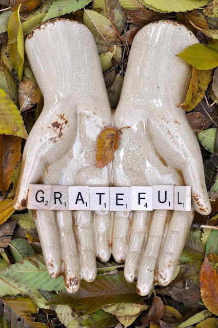 Practicing Gratitude  - A daily practice that will change your life Ivy House, Fallen Leaves, Attitude Of Gratitude, Daily Practices, Grateful Heart, Give Thanks, Two Hands, Gratitude, Street Art